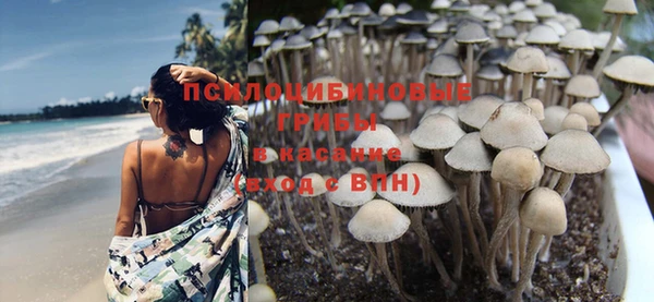 метадон Магадан
