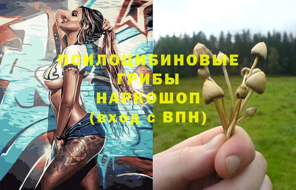 шишки Алексеевка