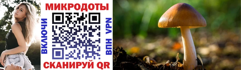 ОМГ ОМГ маркетплейс Азнакаево Галлюциногенные грибы MAGIC MUSHROOMS где можно купить